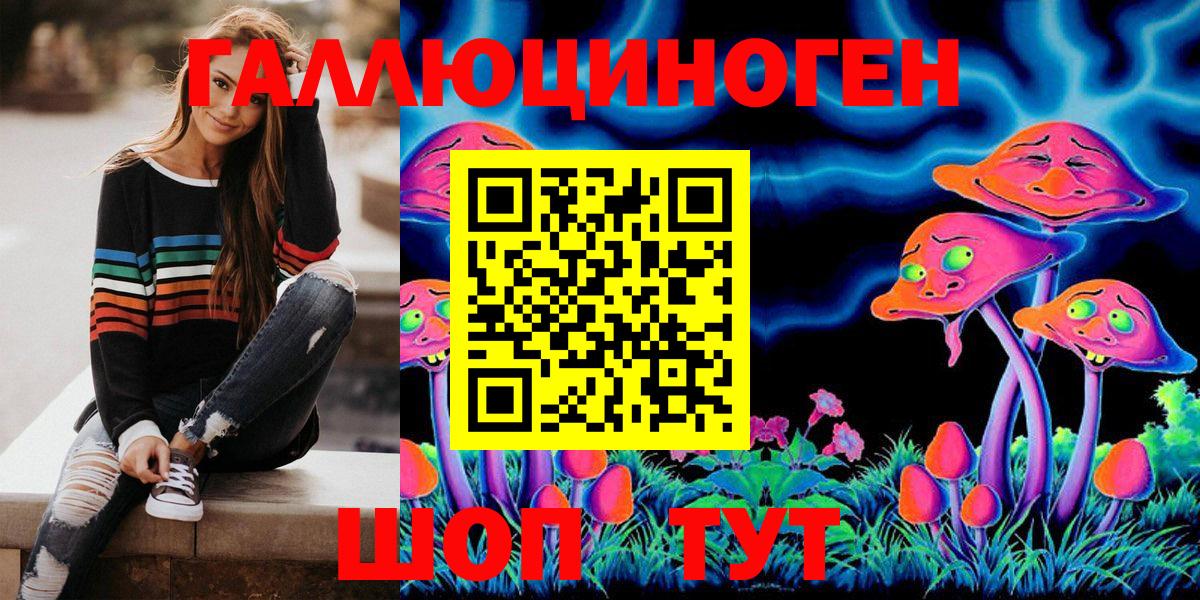 Галлюциногенные грибы Cubensis  Вход с VPN  цена   Псилоцибиновые грибы Psilocybe  Аша 